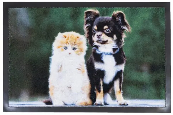 Deurmat hond en kat