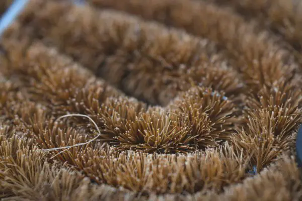 Borstelmat halve maan kokos naturel - Afbeelding 4