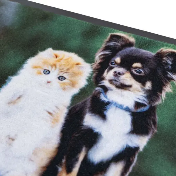 Deurmat hond en kat - Afbeelding 5