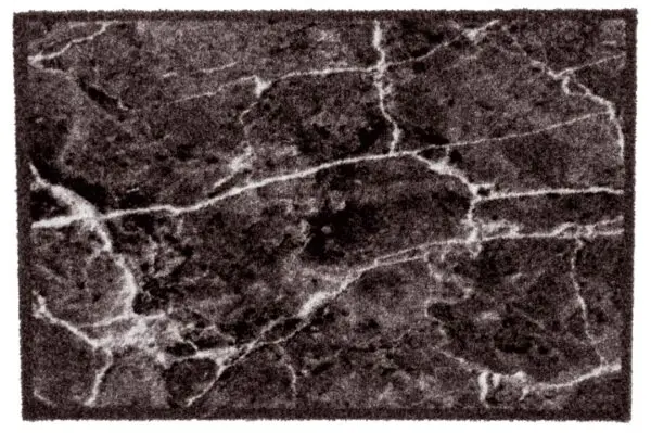 Wasbare schoonloopmat marmerlook