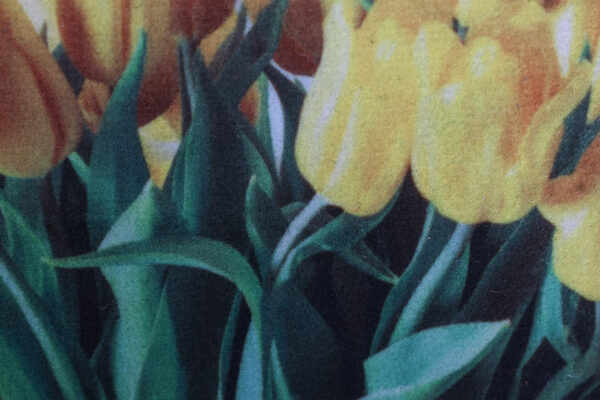 Deurmat Home sweet home, tulpen - Afbeelding 5